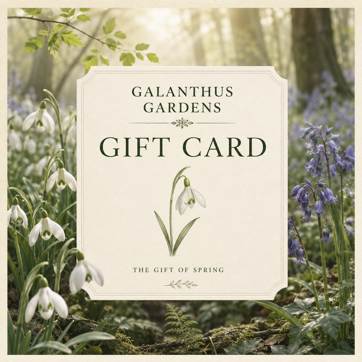 Galanthus Gardens Gift Card